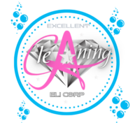 Excellent Cleaning Eli Corp-(612) 478-0853